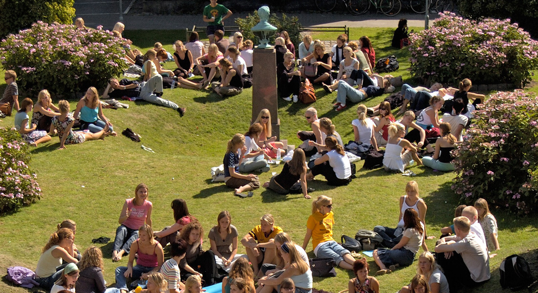 Students at campus socializing